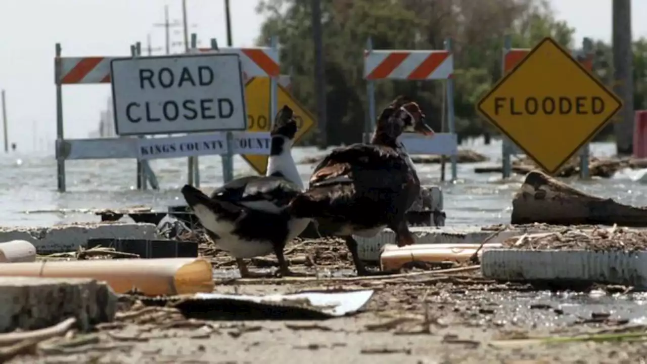 California farming valley scrambles to save future as Tulare Lake floods take over