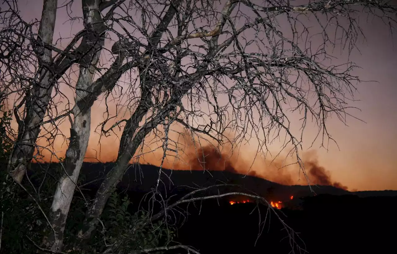 En raison de la sécheresse, le préfet de l’Hérault interdit l’emploi du feu