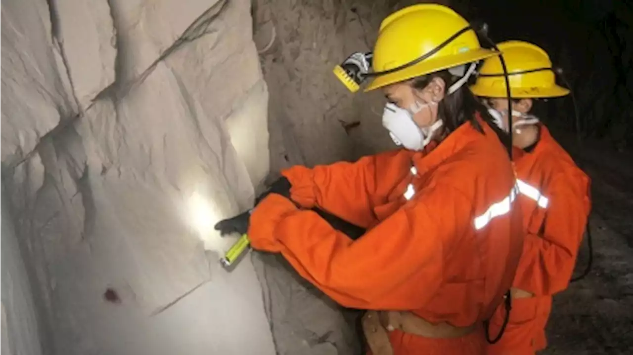 Minería: el empleo creció 9,2% interanual en diciembre y el trabajo femenino, un 28,1%