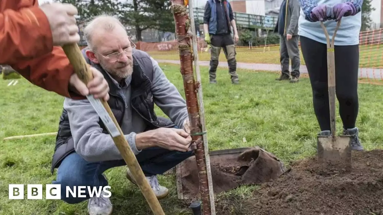 Leeds: Blossom tree planting initiative celebrated