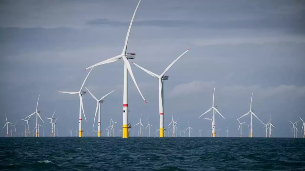 Electricité: comment la France compte accélérer le développement de l'éolien offshore