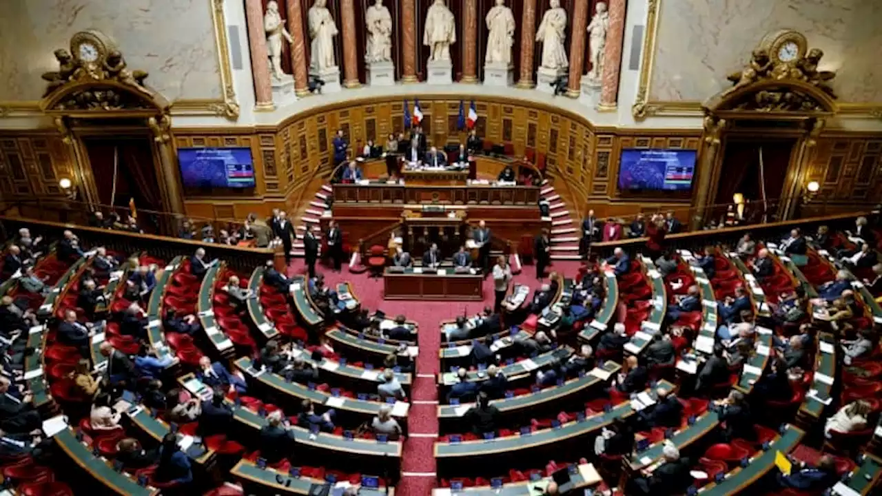 Fonds Marianne: une commission d'enquête proposée au Sénat