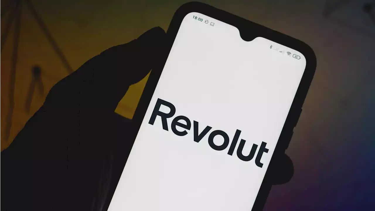 UK investor almost halves value of Revolut stake