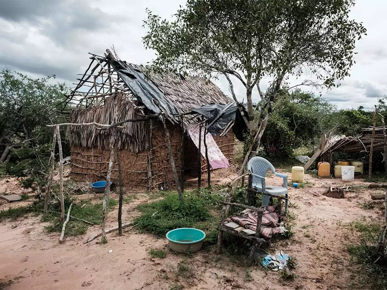 Number of bodies exhumed from suspected Kenyan cult graves jumps to 47