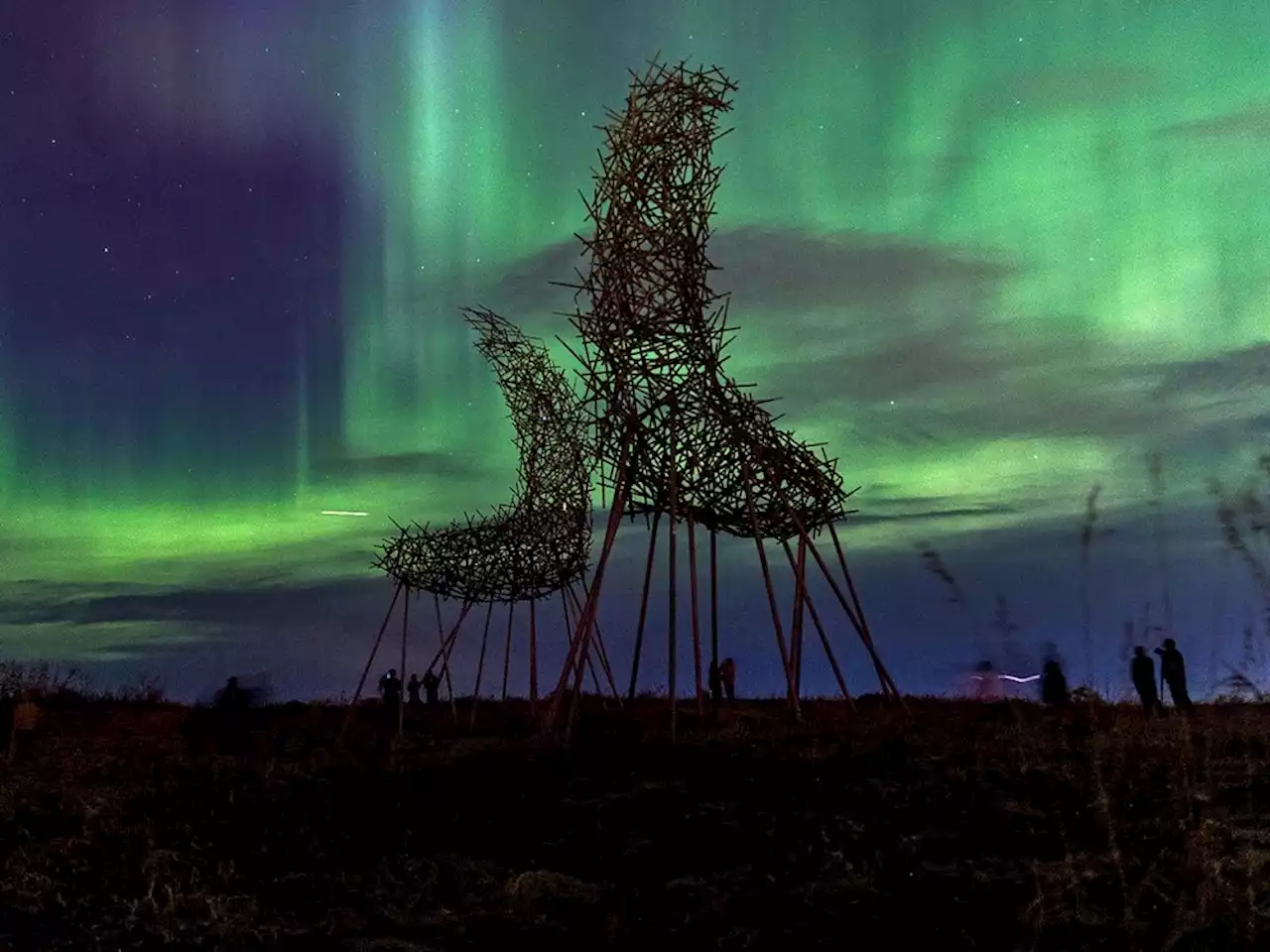 Calgary treated to stunning display as northern lights return to night sky