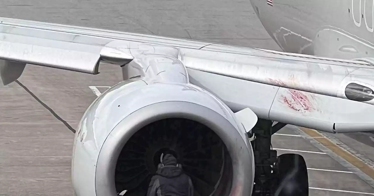 American Airlines plane engine catches fire, makes emergency landing in Ohio after bird strike