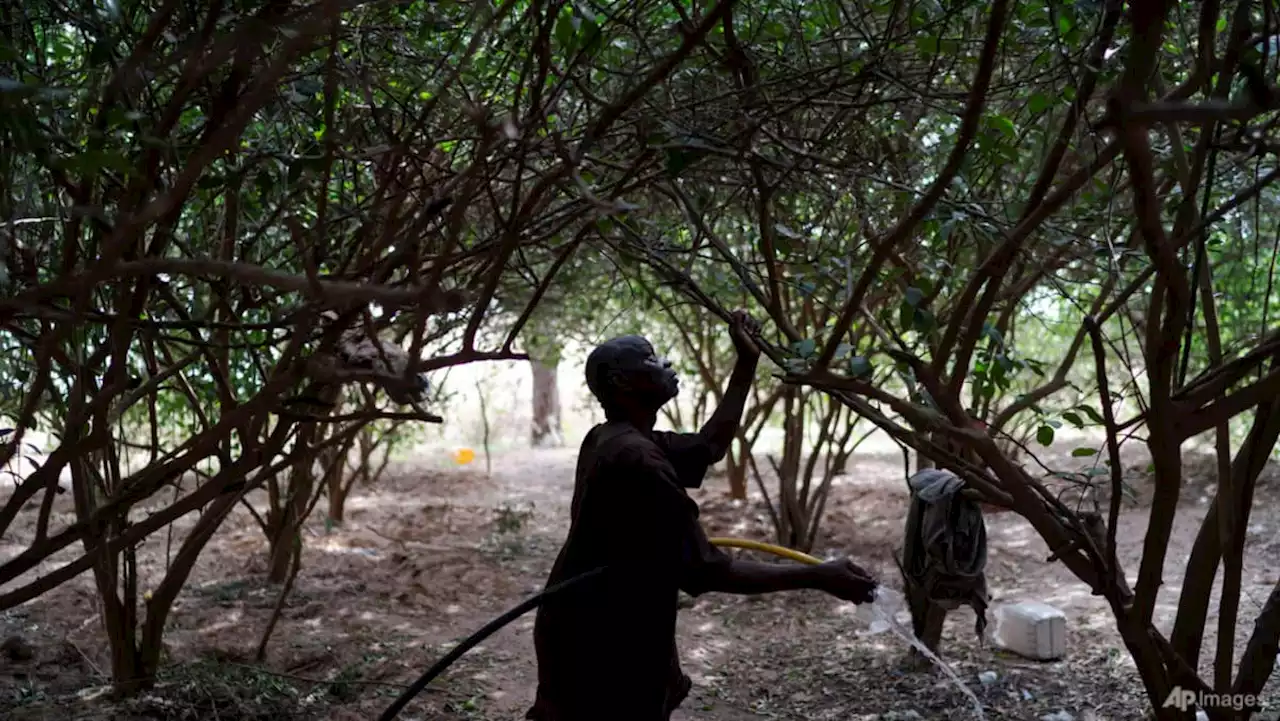 Is solar power the answer to manage Africa's water woes?