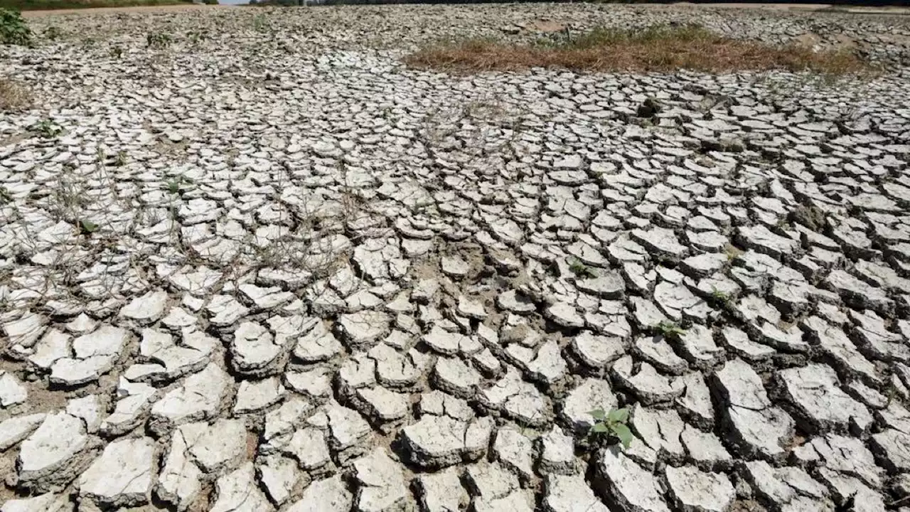 Espagne : une canicule exceptionnelle va frapper le pays avec des pointes à 40°C