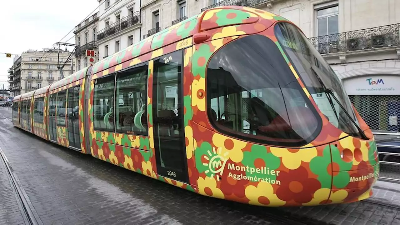 Montpellier : une jeune femme rouée de coups dans le tram pour une histoire de place