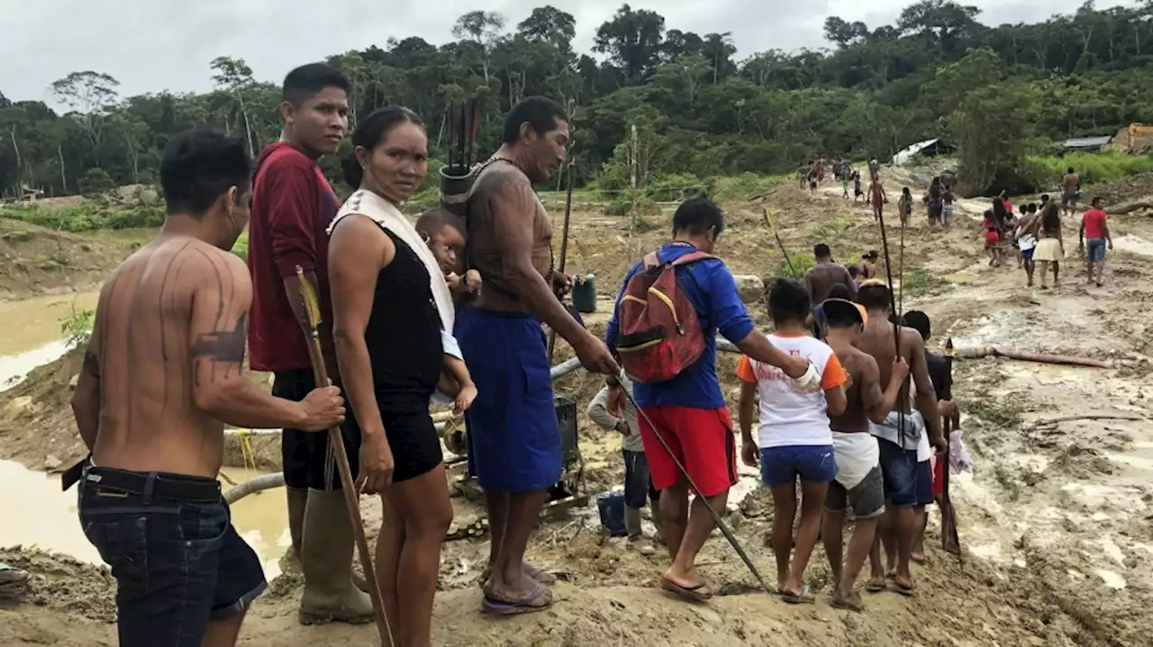 Amazon Indigenous woman wins Goldman environment prize