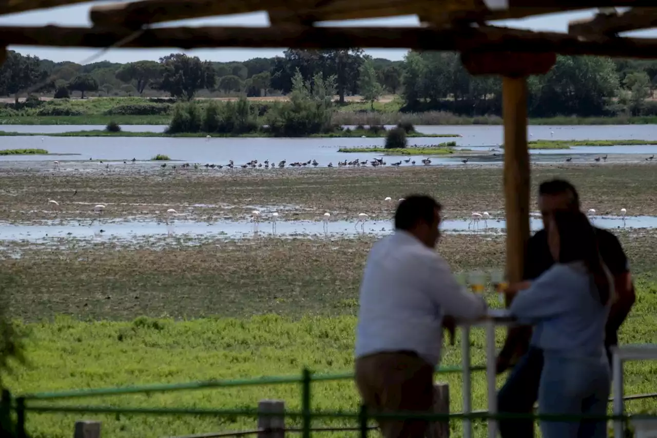 Bruselas advierte a la Junta andaluza de que su ley puede tener “efectos desastrosos” en Doñana