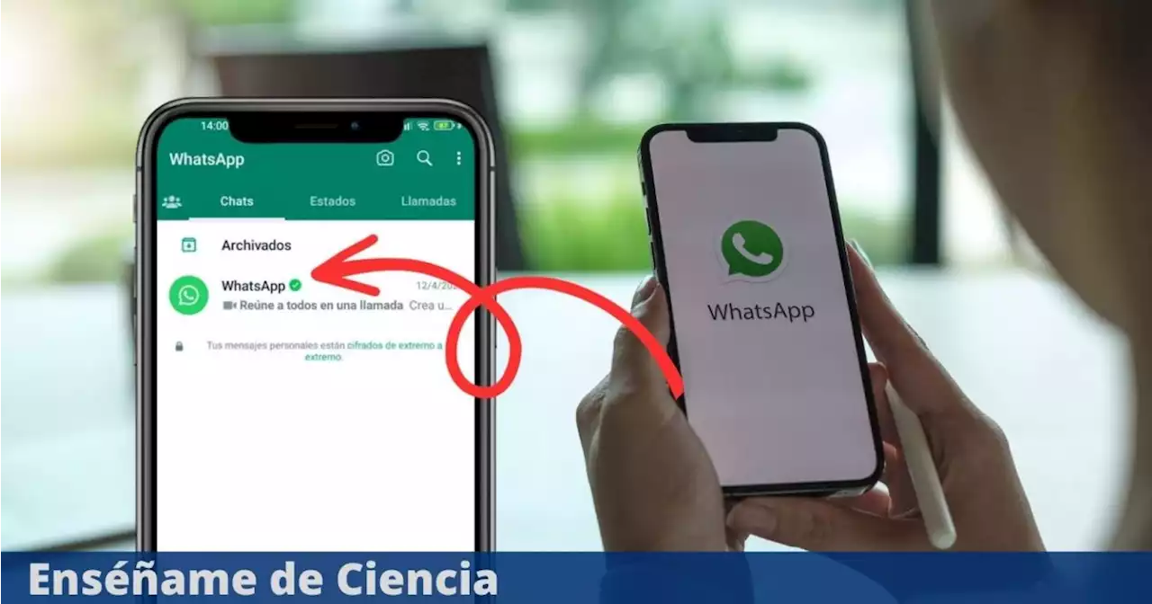 Qué es y para qué sirve el nuevo chat de WhatsApp que está empezando a aparecer