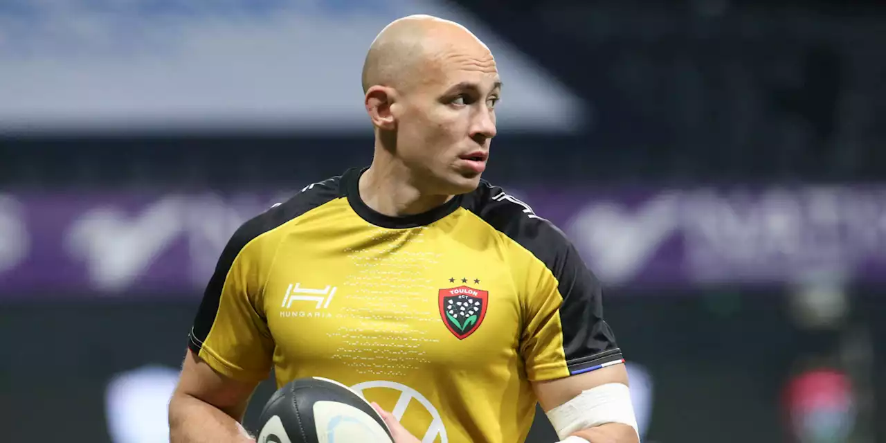 «On a le potentiel pour y croire» : Sergio Parisse vise le doublé Challenge Cup/Top 14 avec Toulon avant sa retraite