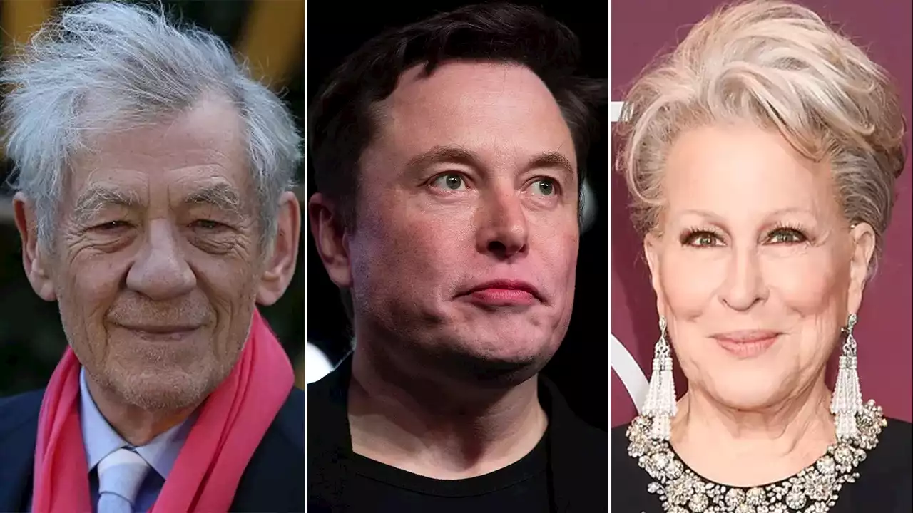 Liberal celebs, journalists furious that Musk gave them their blue check back: 'Without my consent'