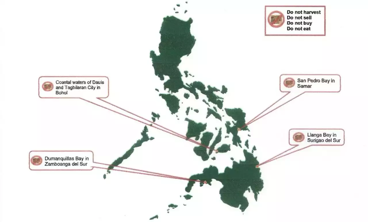 Toxic red tide detected in parts of Bohol, Samar, 2 other areas, BFAR says