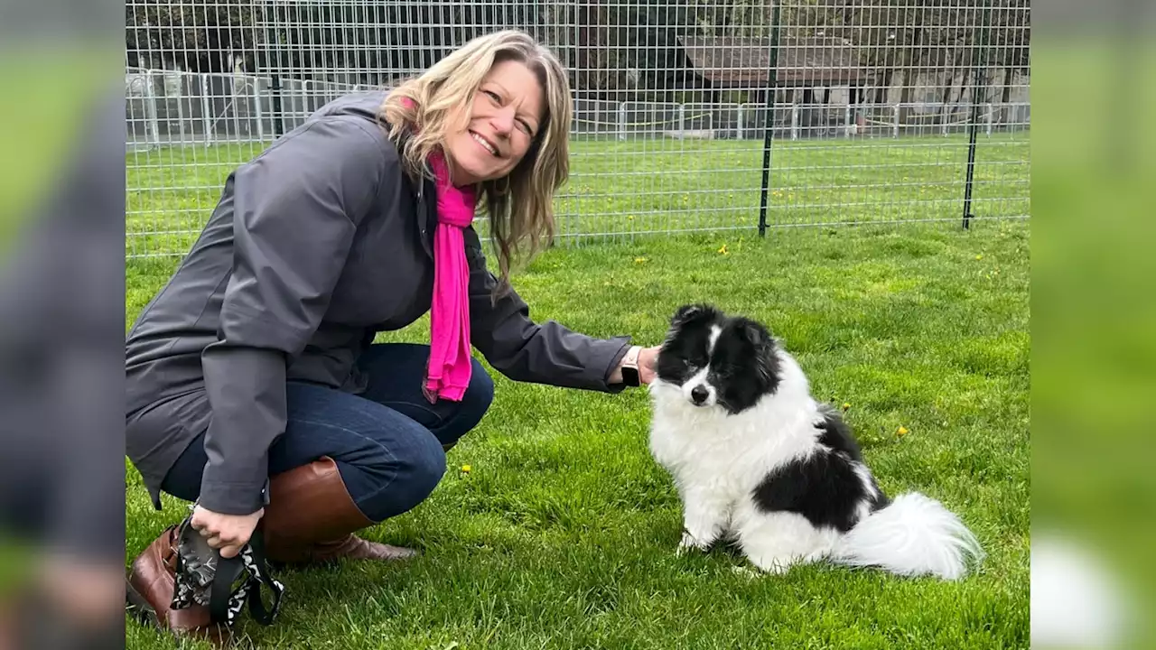 Redmond opens its first pop-up dog park to meet growing demand for public off-leash spaces