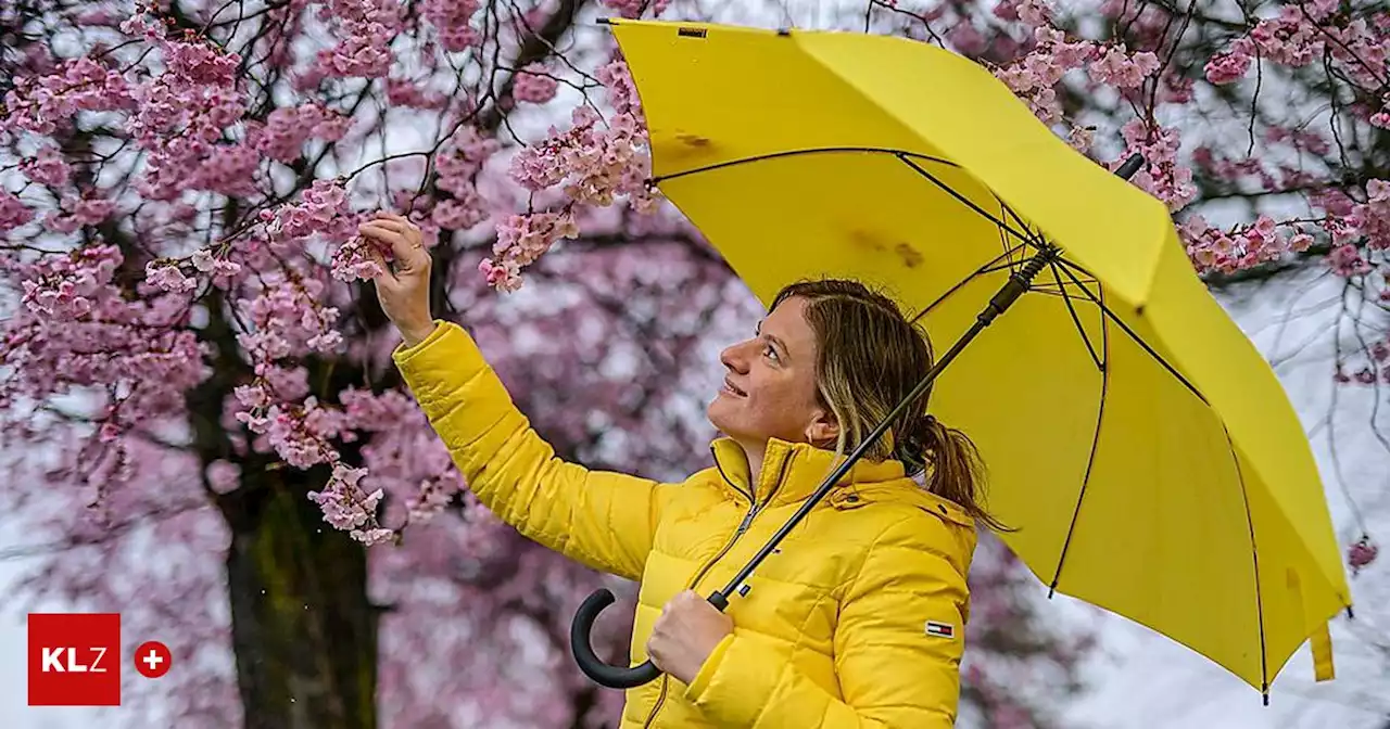 Extremereignisse: Das Wetter in Kärnten spielt seit Monaten verrückt | Kleine Zeitung