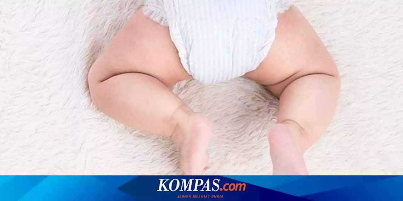 Ditaruh dalam Kardus Biskuit, Bayi Baru Lahir Dibuang Orangtuanya di Depan Rumah Warga