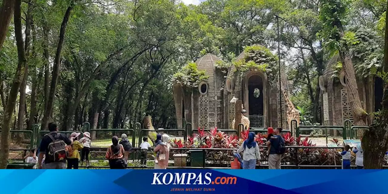 Libur Satwa Ditunda, Taman Margasatwa Ragunan Tetap Buka Hari Ini