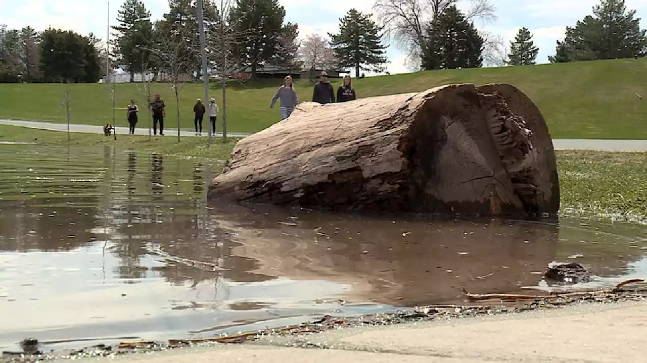 Sugar House Park water could rise as high as 4 feet, closed to vehicles