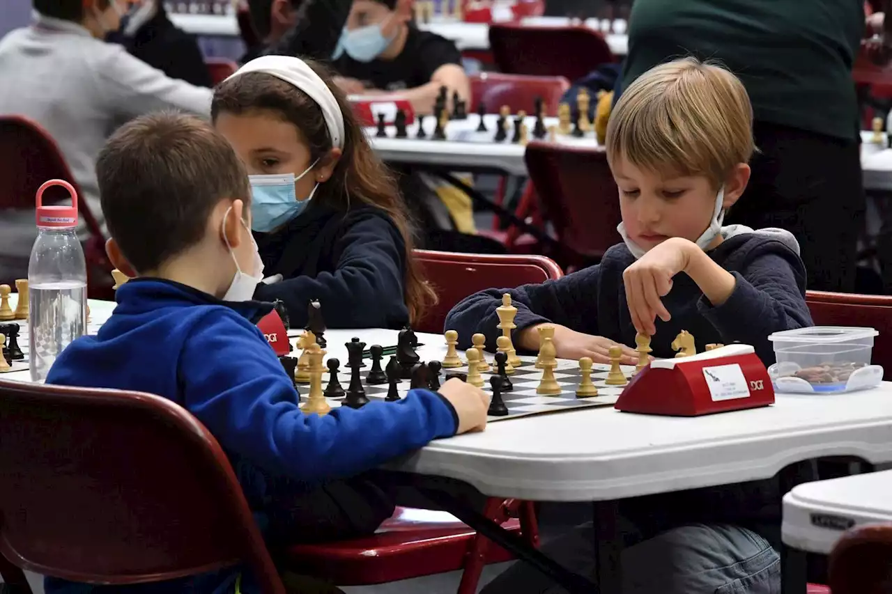 Échecs : les jeunes joueurs toujours plus nombreux