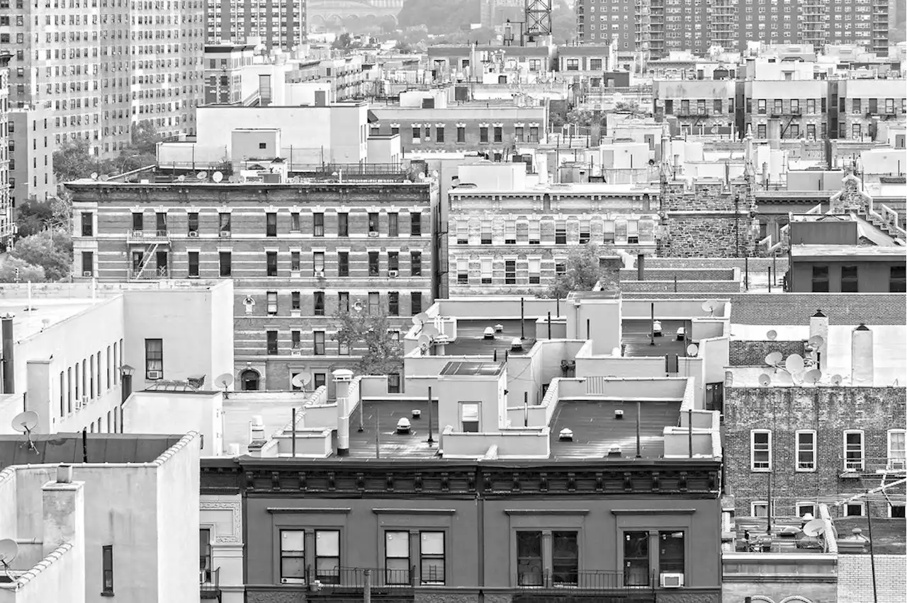 « Papa courait les paris » de Louise Meriwether : trouées de joie sur les trottoirs d’Harlem