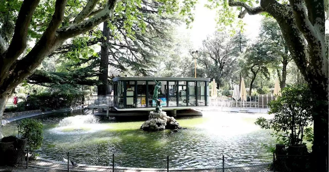 Météo en Provence : vers des températures dignes de l'été en fin de semaine