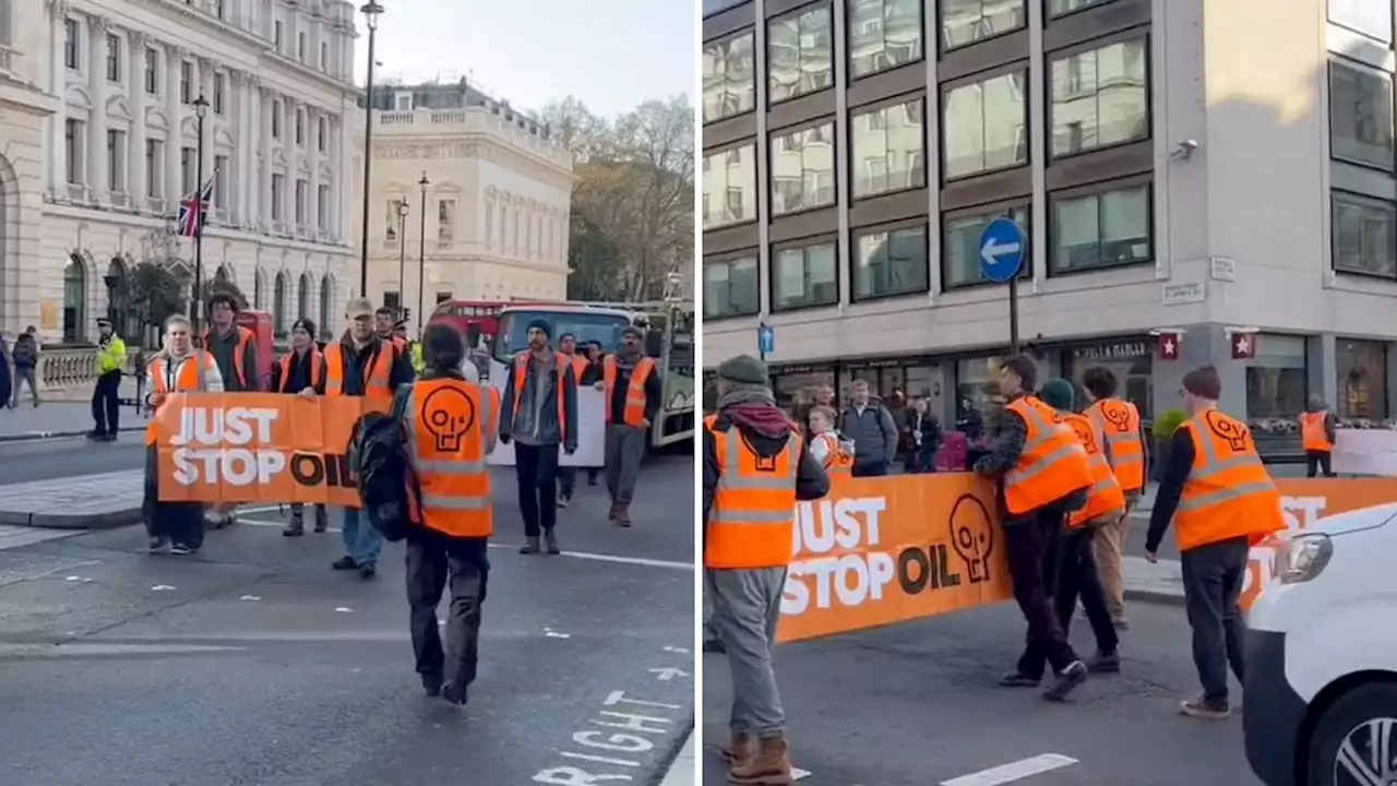 Eco zealots spark fury during London rush hour with 'slow walk' through seven capital streets