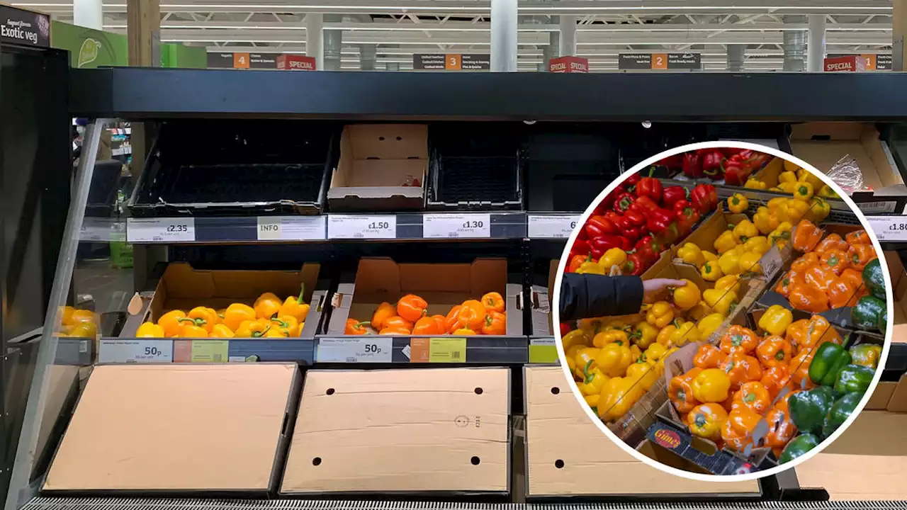 Supermarkets impose limits on peppers as stocks run low - sparking fresh fruit and veg shortage fears