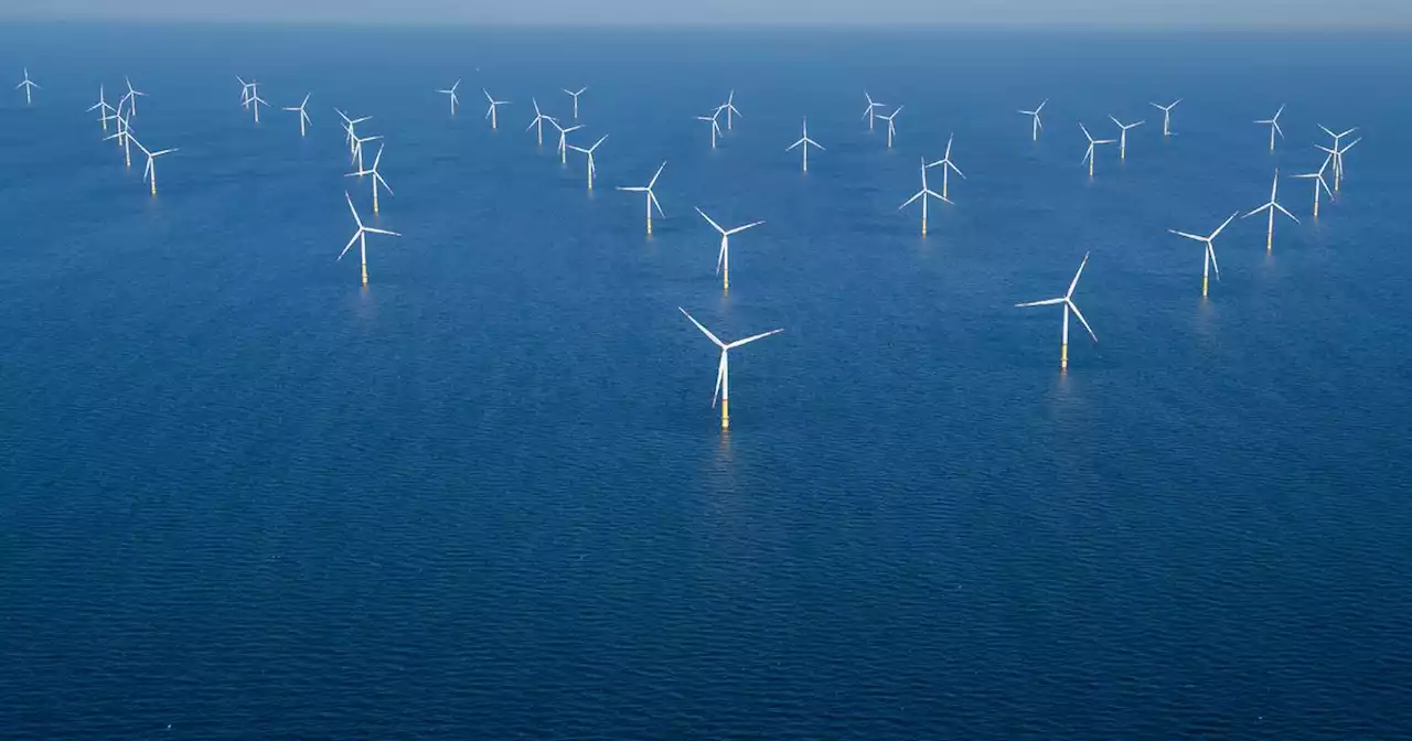 Eoliennes en mer du Nord : la France à la traîne par rapport à ses voisins