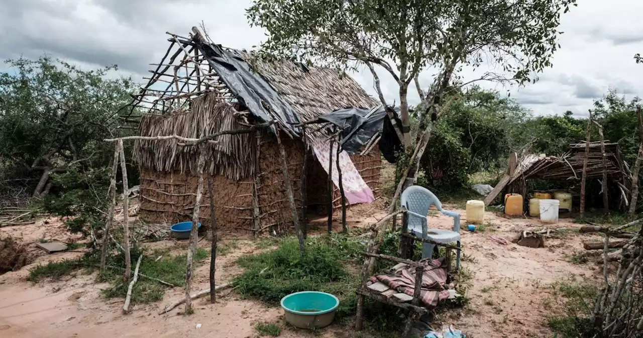 Kenya: 26 nouveaux corps de fidèles présumés d'une secte exhumés dans une forêt