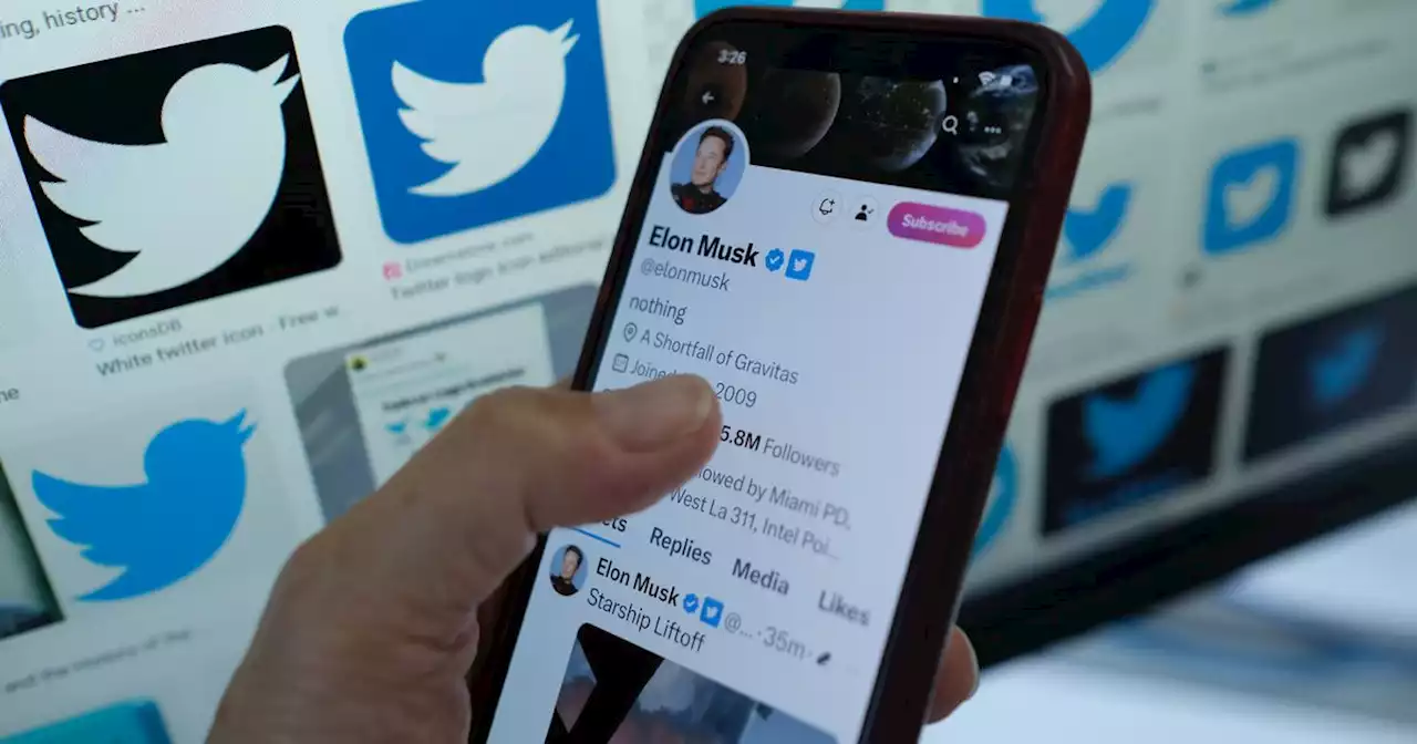 Twitter : certification supprimée ou imposée, Elon Musk instaure la confusion