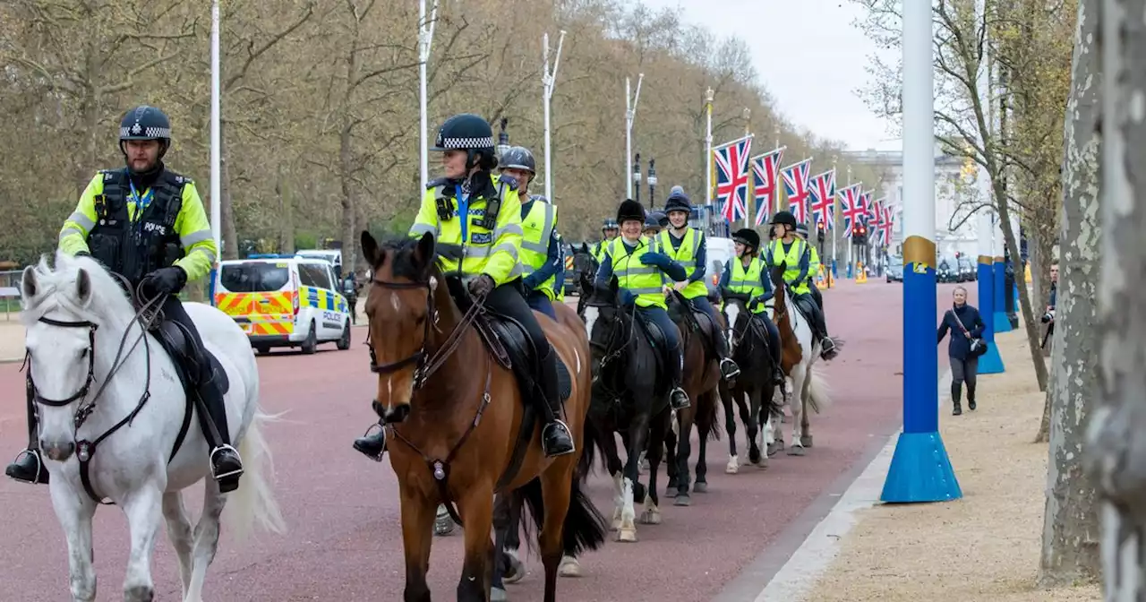 BBC DJ joins horse London charity ride calling for ban on slaughter exports