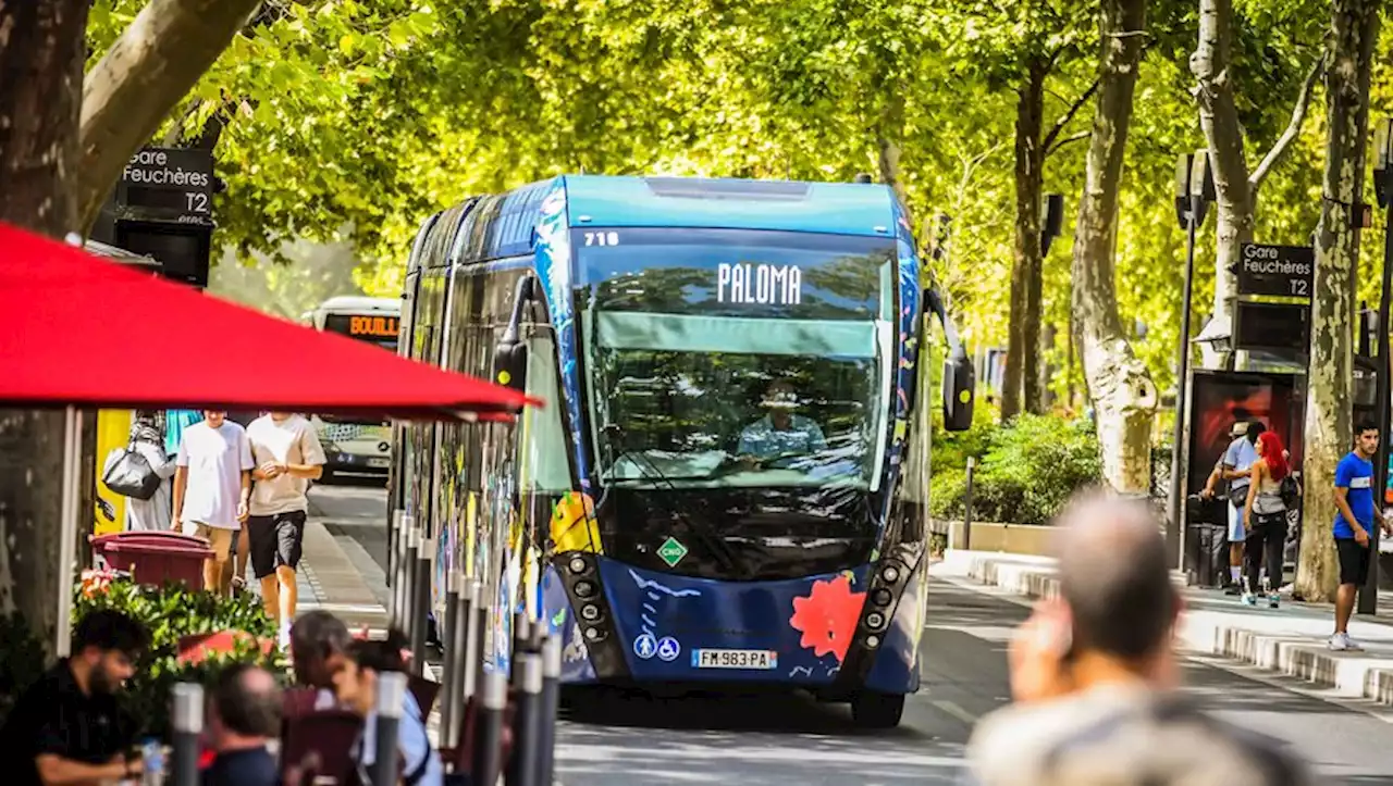 Nîmes : un conducteur du réseau Tango agressé dimanche, le trafic totalement interrompu entre 12 h et 14 h ce lundi