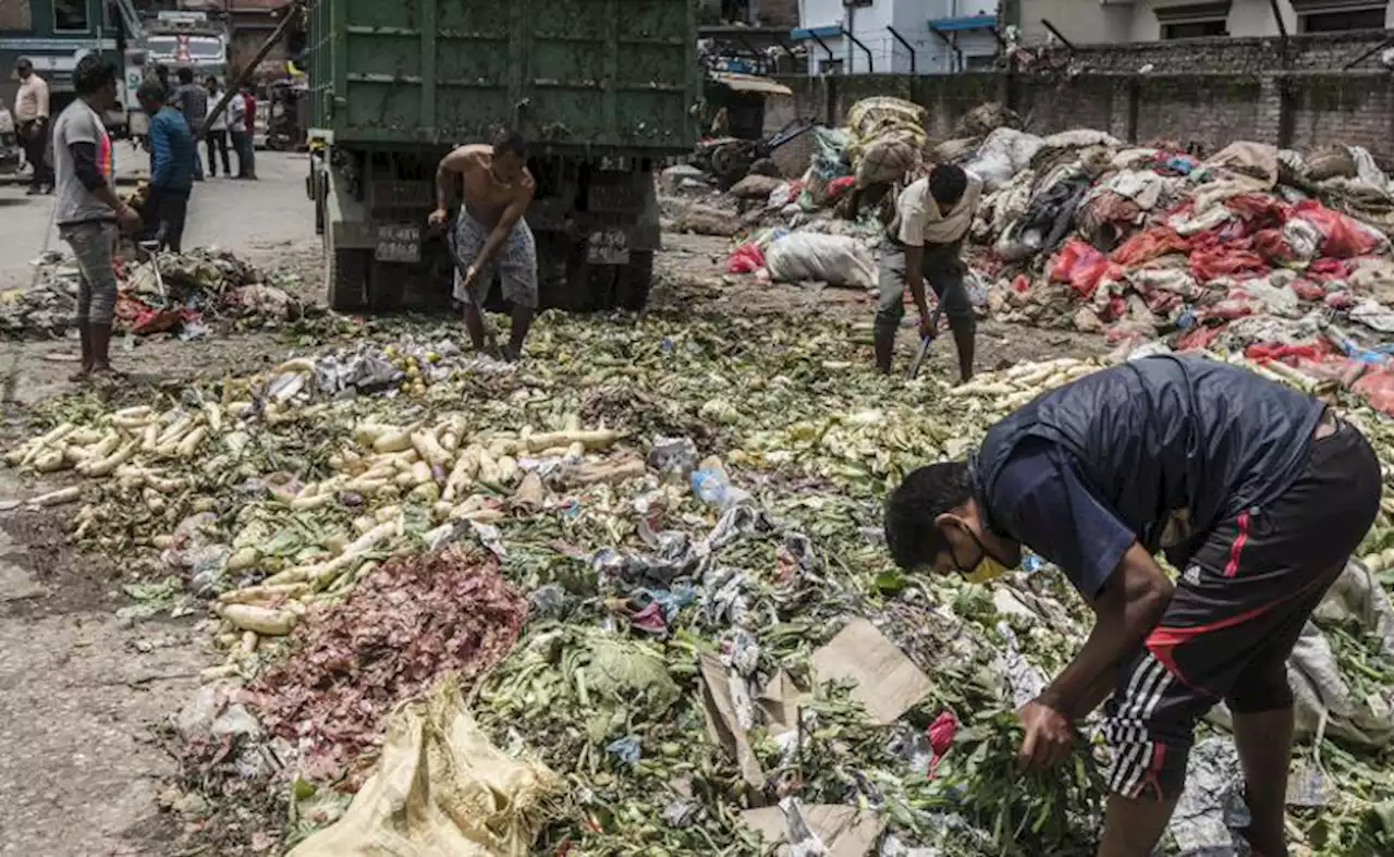 More efficient use of resources reduces waste and pollution, says FAO