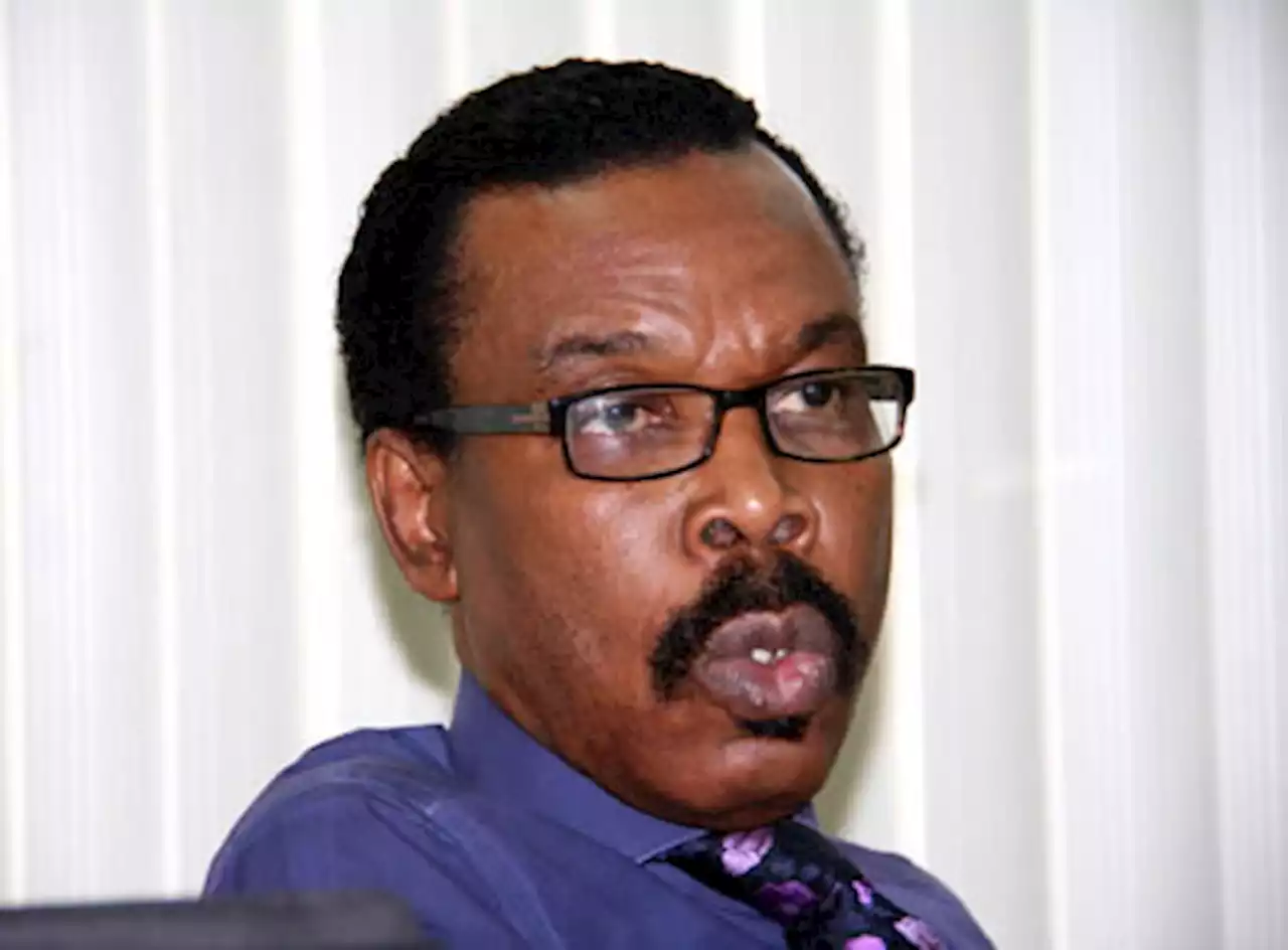 How Nigeria can beat debt trap - Rewane