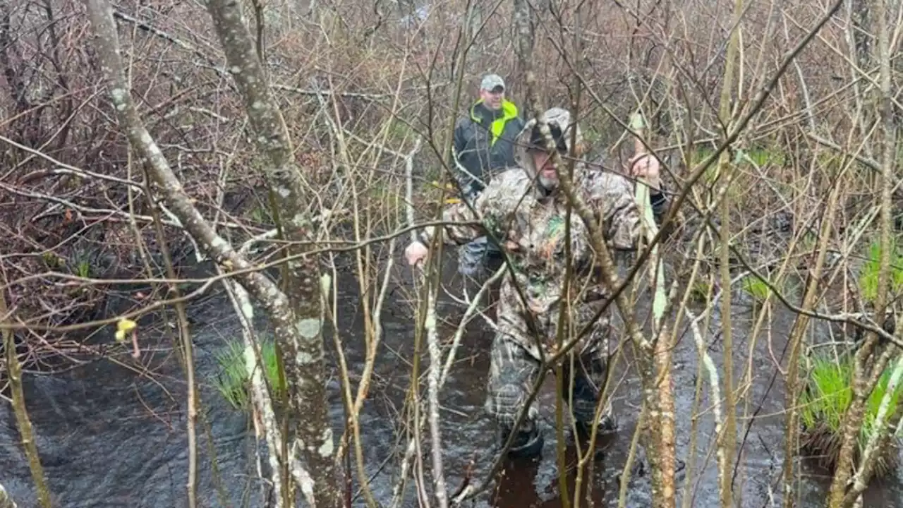 Police: Remains Found in Swamp Likely Missing New Hampshire Man