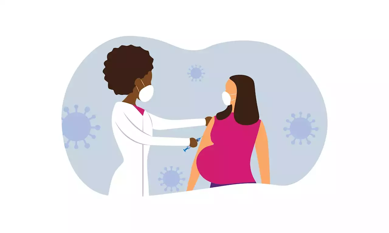 An overview of mothers’ lived pregnancy experiences during the COVID-19 pandemic