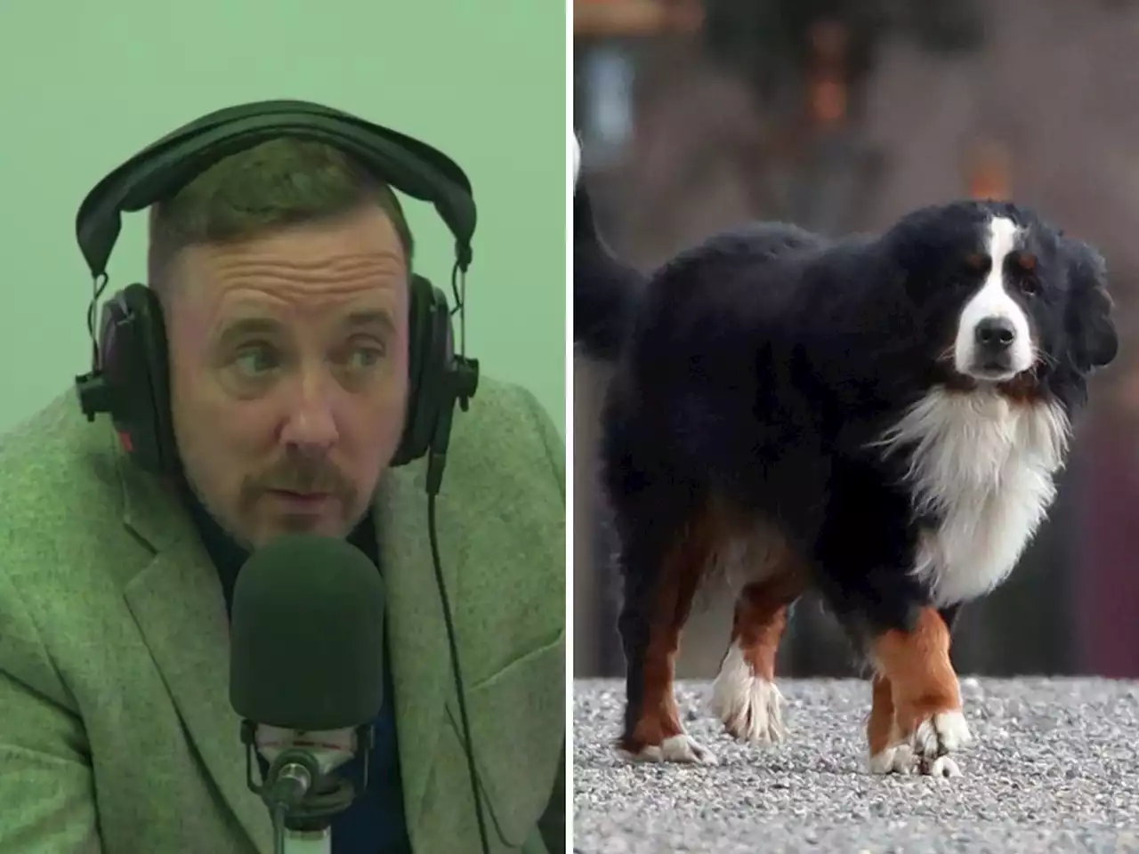 Coverage of Presidential dog's death 'all a bit ridiculous' - Coleman