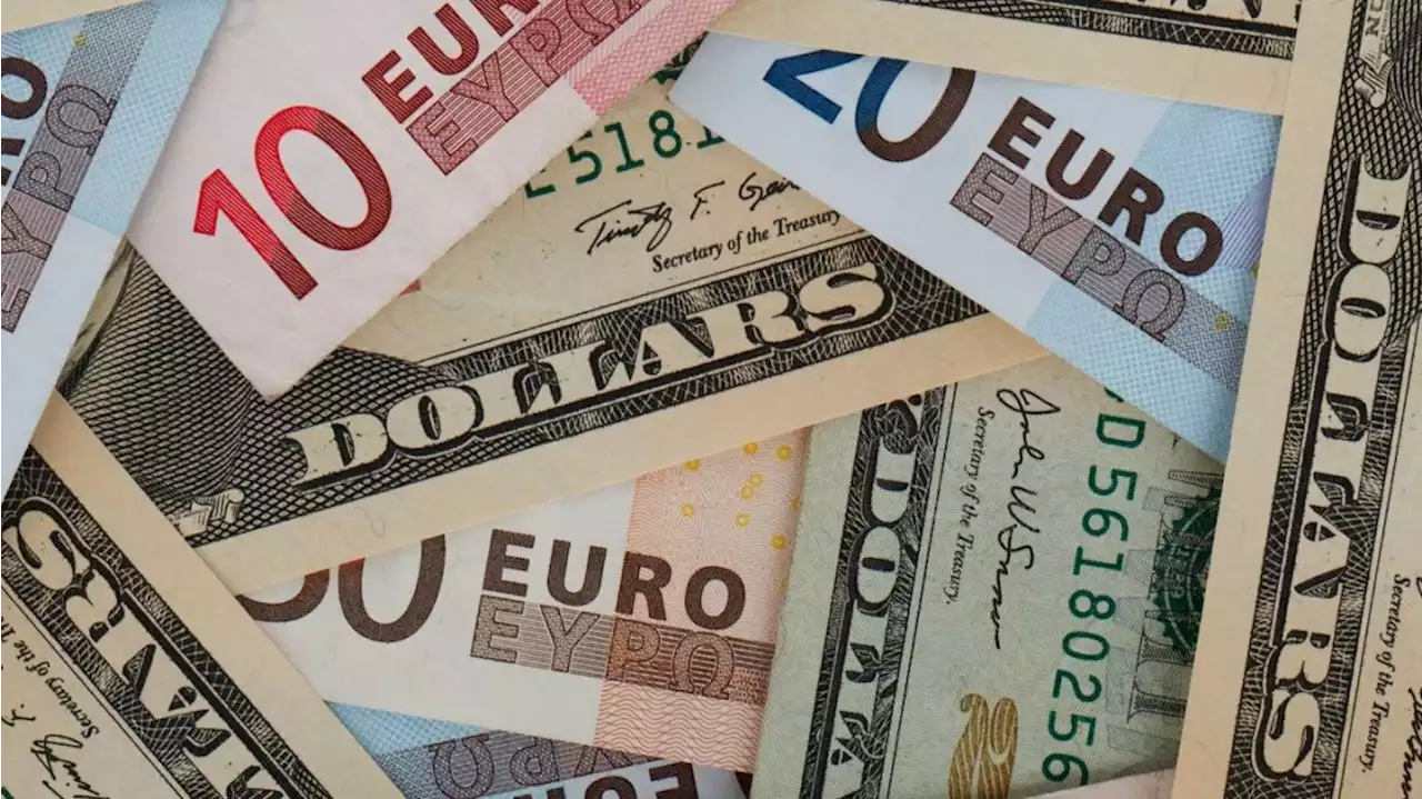 Euro blue hoy: el minuto a minuto de la cotización de este lunes 24 de abril de 2023