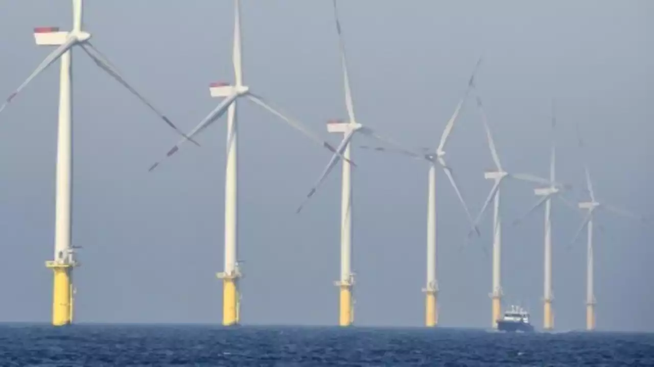 Neuf pays d'Europe en sommet en Belgique pour décupler l'éolien maritime