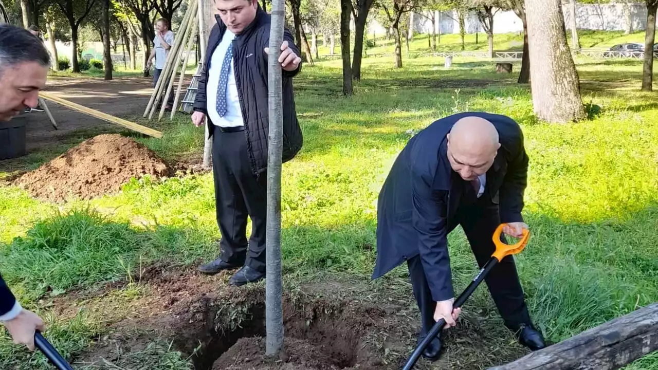 Alberi nelle ville storiche, a piantarli ci pensa l’ambasciata azera