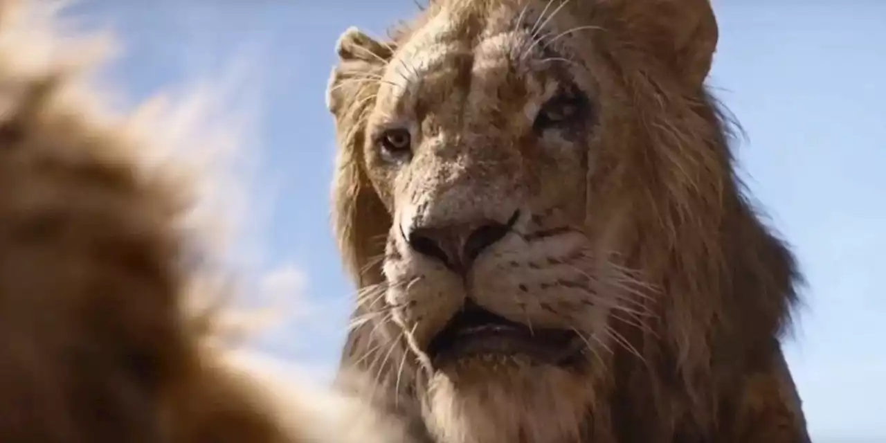 'The Sweetest Young Lion': Scar's Lion King Prequel Backstory Teased By Star