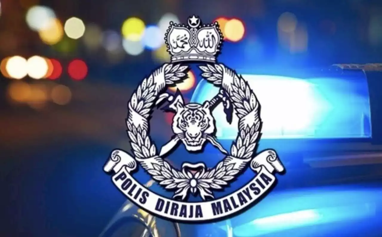 Man arrested for allegedly insulting Johor Sultan on social media