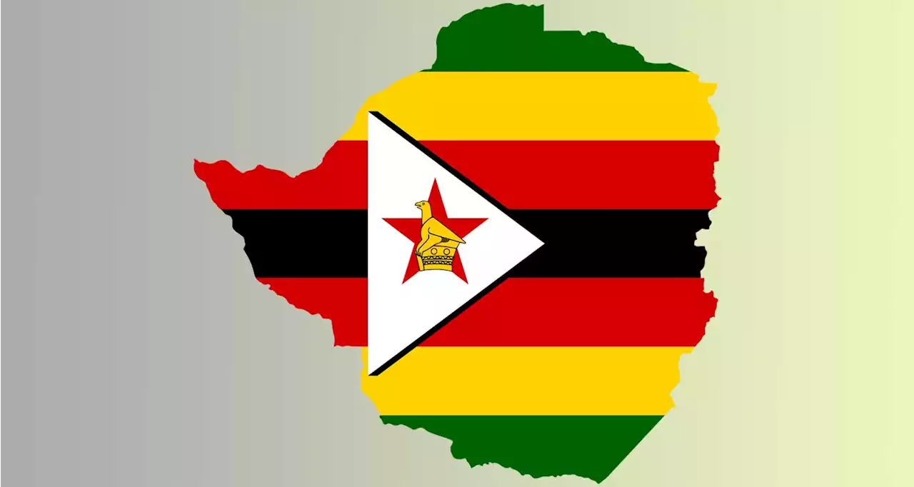 Zimbabwe to introduce gold-backed digital currency - TechCentral