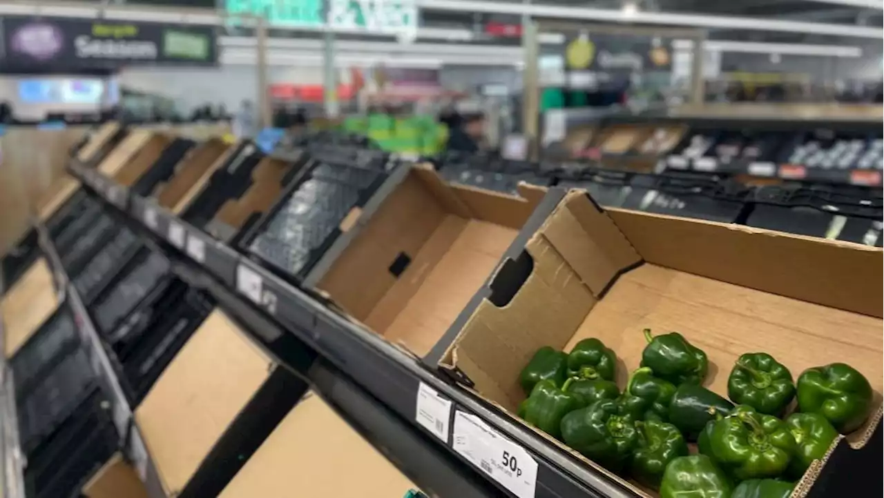 Morrisons ration sales of peppers to two per customer as cold weather in Spain hits supplies