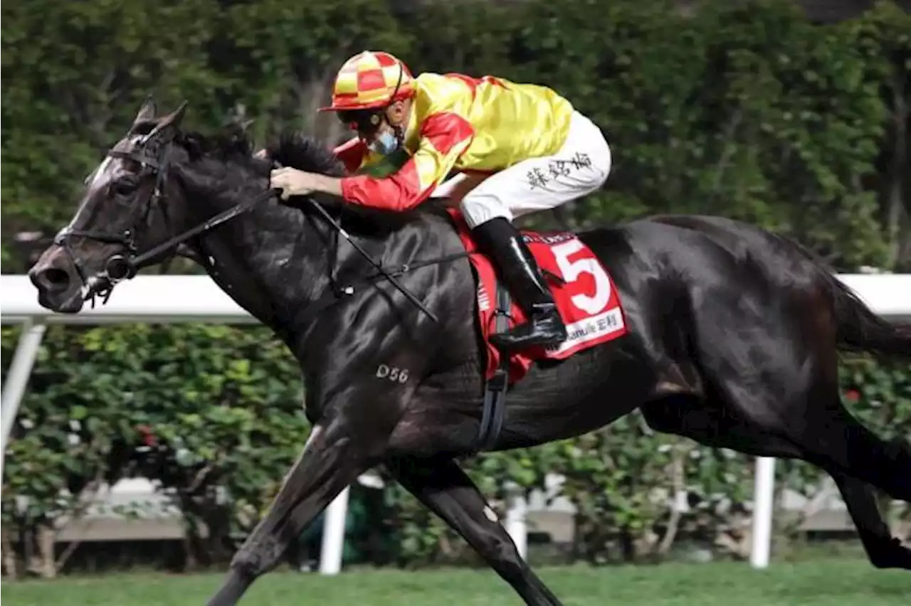 Savvy Nine can prevail on class