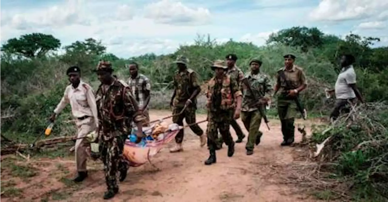 Number of bodies exhumed from suspected Kenyan cult graves jumps to 47