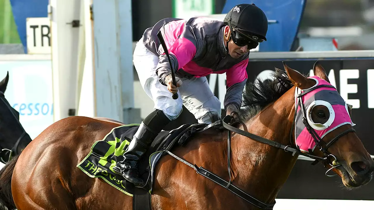 Horse Jockey Dean Holland Dead At 34 After Fall During Race