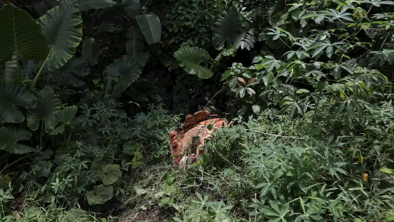 A Russian hiker's bid to remove a discarded fridge in Clementi Forest succeeds after a year; authorities reviewing processes